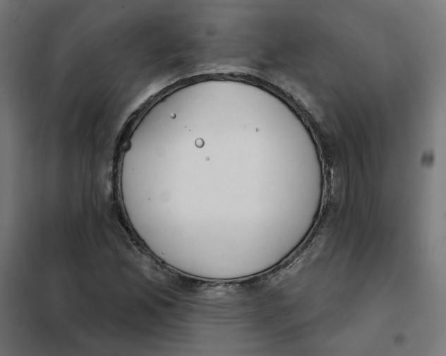 X0000101181165200807250933