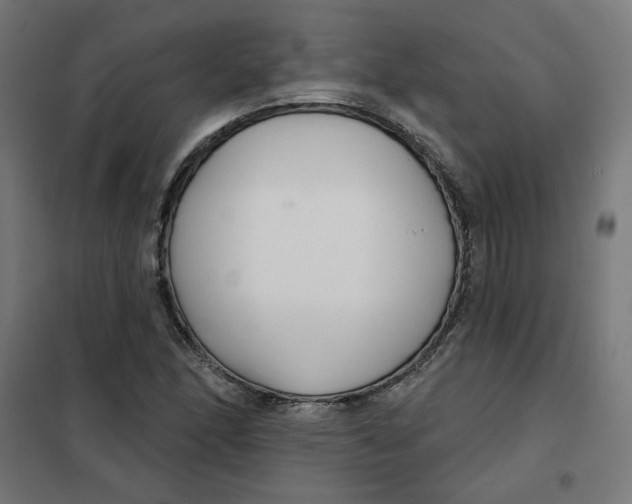 X0000101181166200807250933