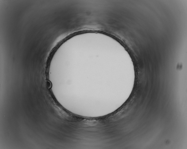 X0000101181168200807250933