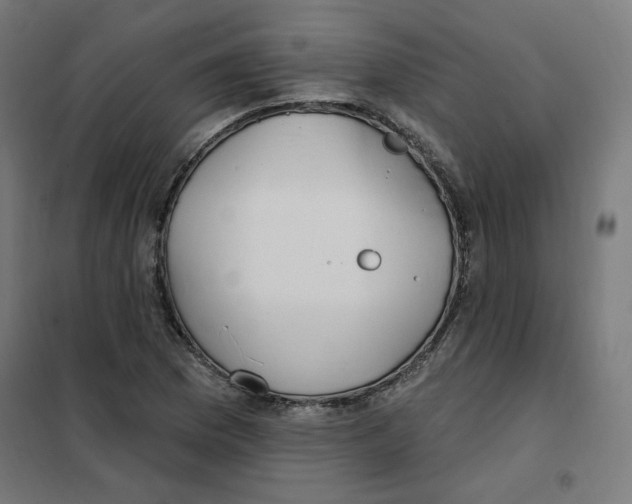 X0000101181169200807250933