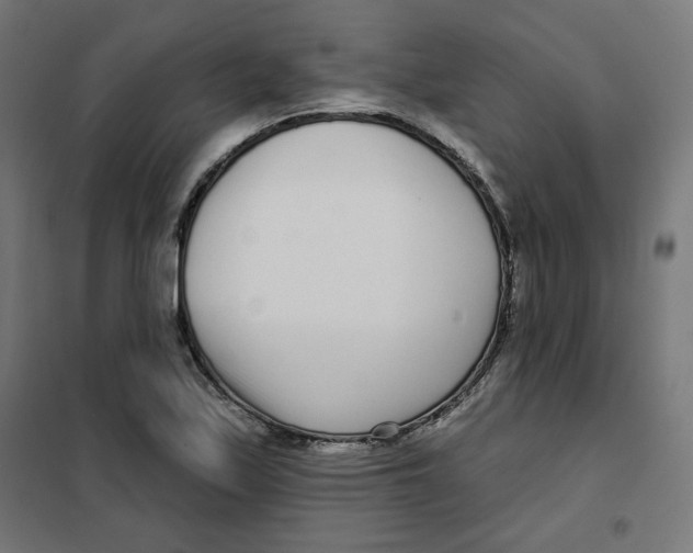 X0000101181171200807250933