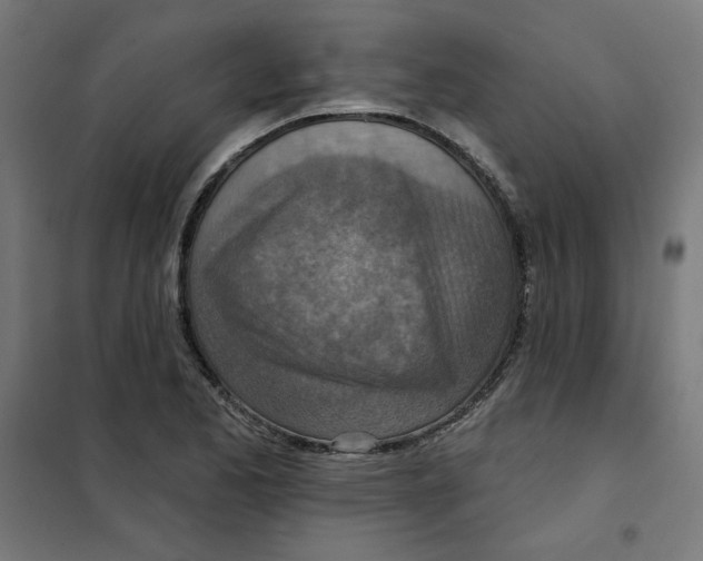 X0000101181173200807250933