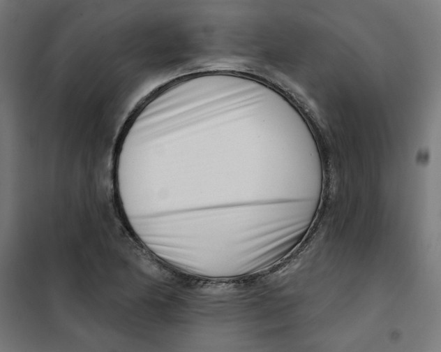 X0000101181174200807250933