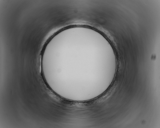 X0000101181175200807250933