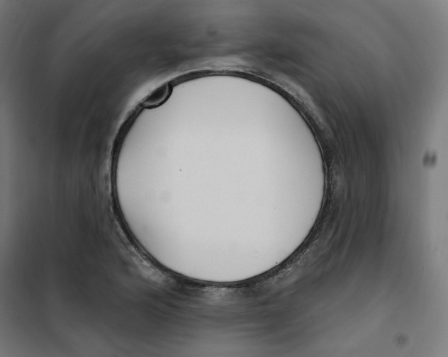 X0000101181176200807250933