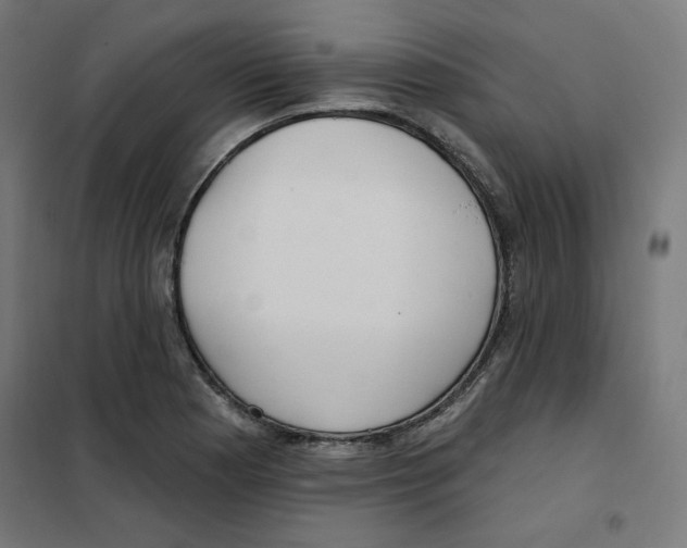 X0000101181177200807250933