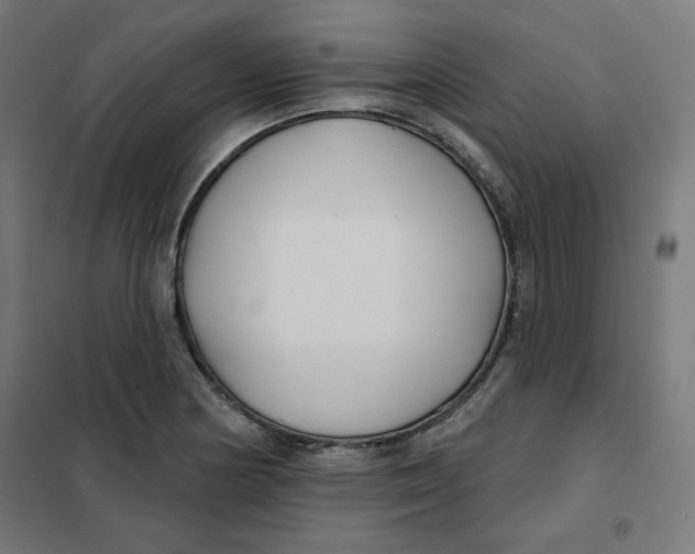 X0000101181178200807250933