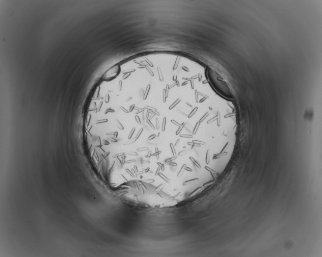 X0000101181179200807250933