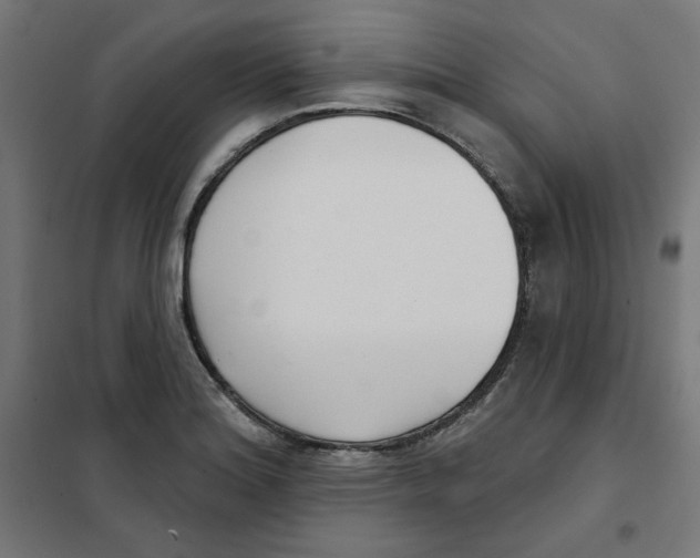 X0000101181180200807250933