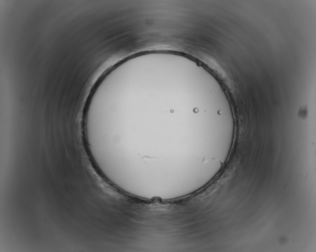 X0000101181181200807250932