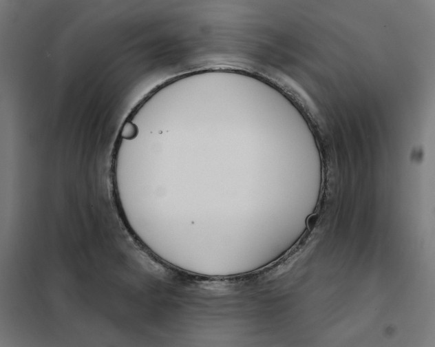 X0000101181182200807250932