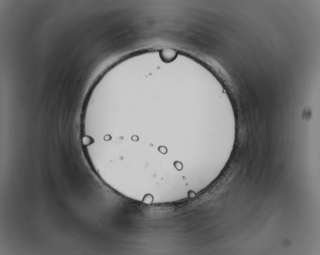 X0000101181183200807250932