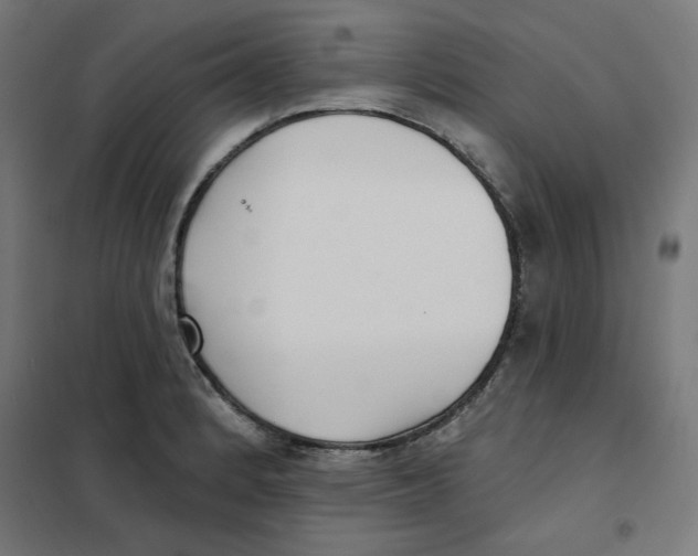 X0000101181184200807250932