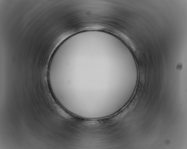 X0000101181186200807250932