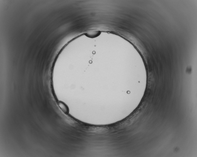 X0000101181187200807250932