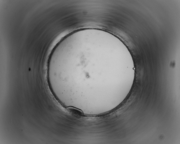 X0000101181188200807250932