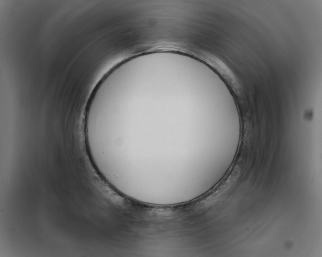 X0000101181190200807250932