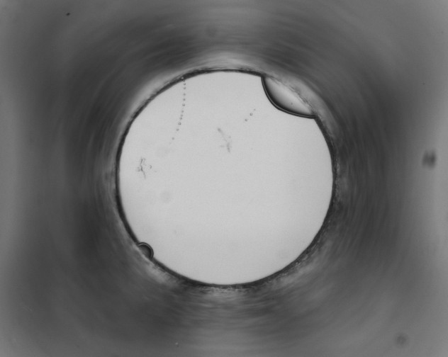 X0000101181191200807250932