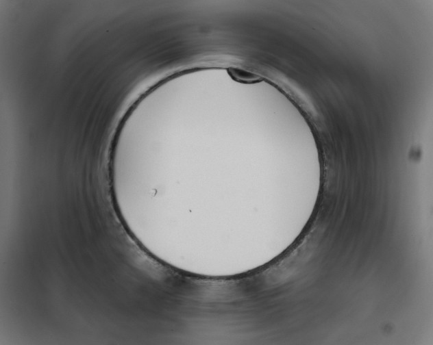 X0000101181192200807250932