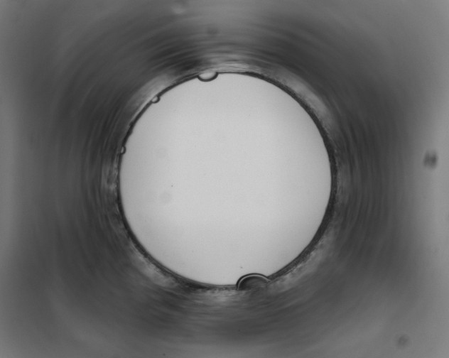 X0000101181193200807250932