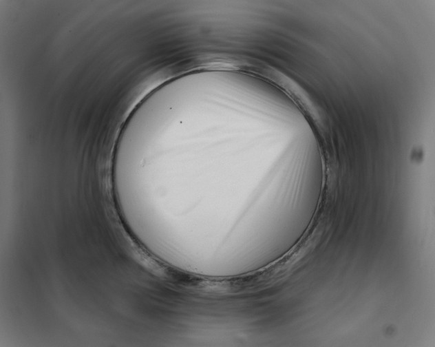 X0000101181194200807250932