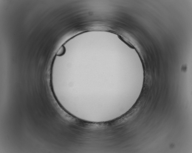 X0000101181195200807250932