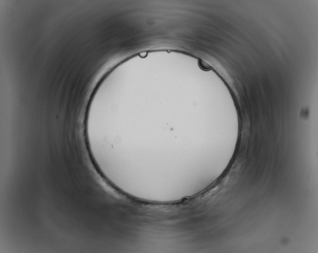 X0000101181197200807250932