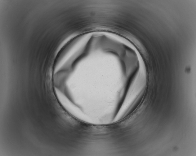 X0000101181198200807250932