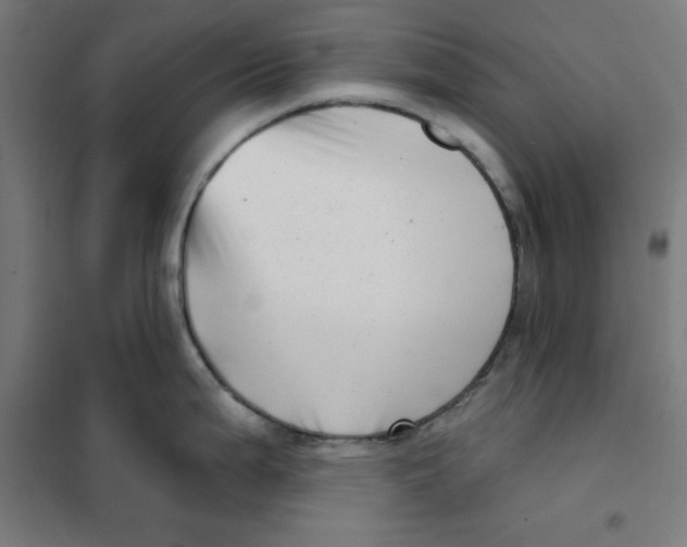 X0000101181199200807250932