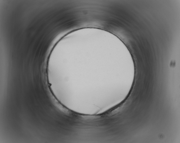 X0000101181200200807250932