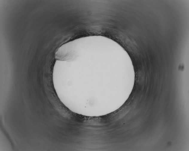 X0000101181201200807250932