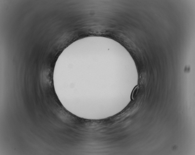 X0000101181202200807250932