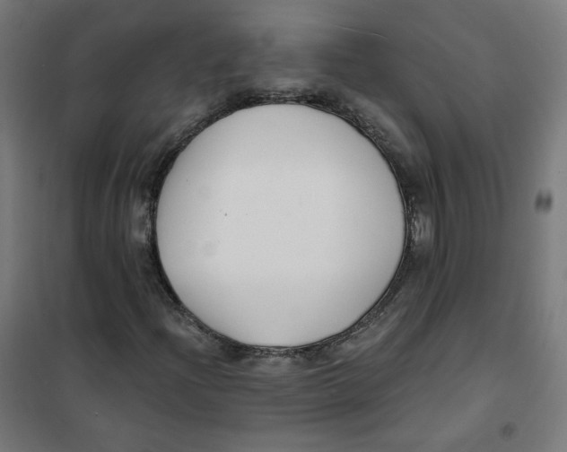 X0000101181204200807250932