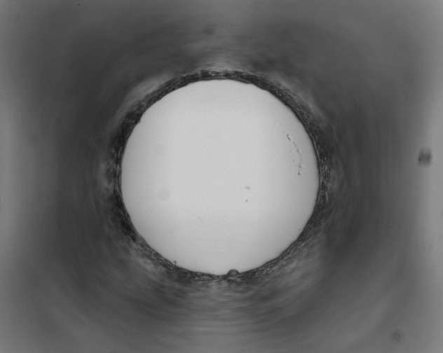 X0000101181207200807250932