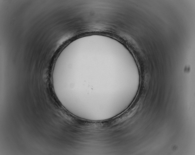 X0000101181210200807250932