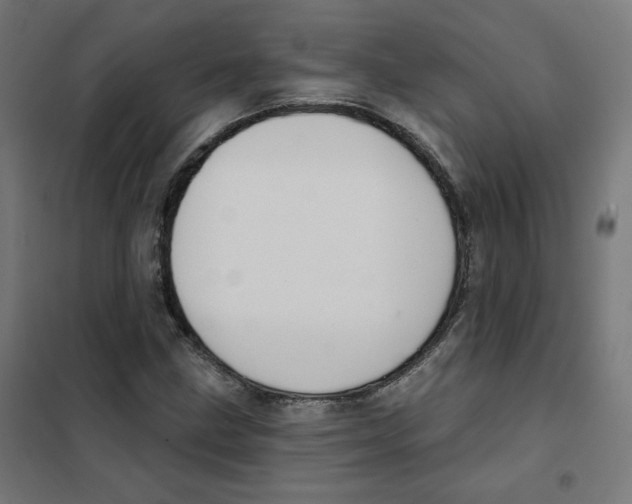 X0000101181211200807250932