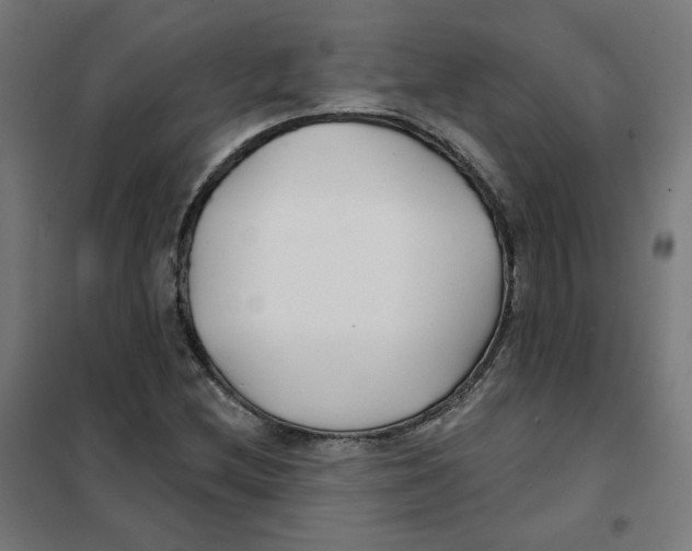 X0000101181212200807250932