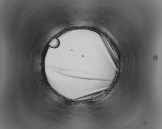 X0000101181213200807250932