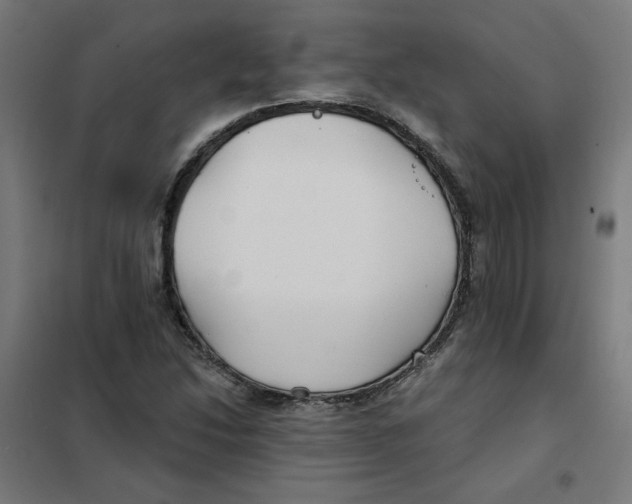 X0000101181214200807250932