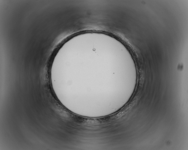 X0000101181215200807250932