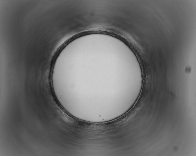 X0000101181216200807250932