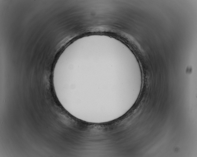 X0000101181217200807250932