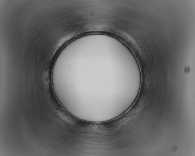 X0000101181218200807250932