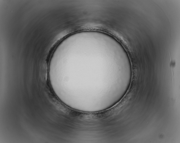 X0000101181219200807250932