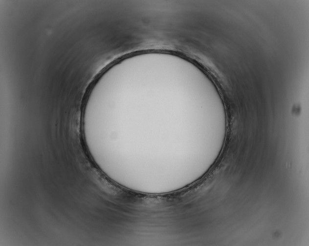 X0000101181220200807250932