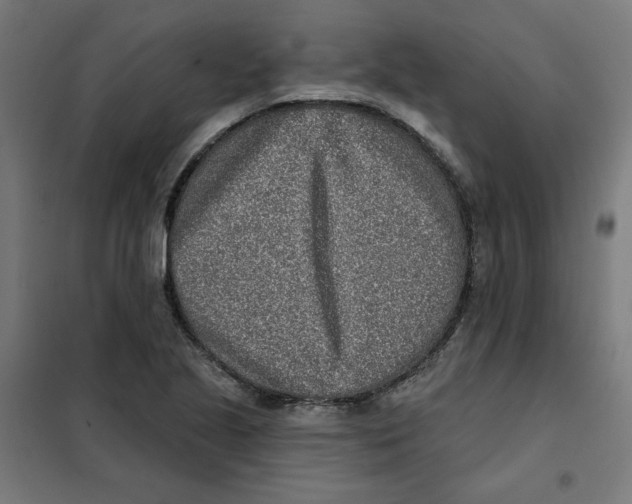 X0000101181221200807250932