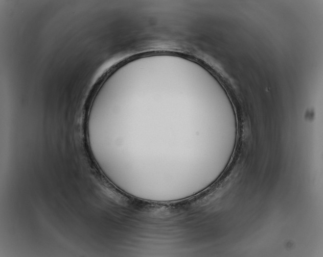 X0000101181222200807250932