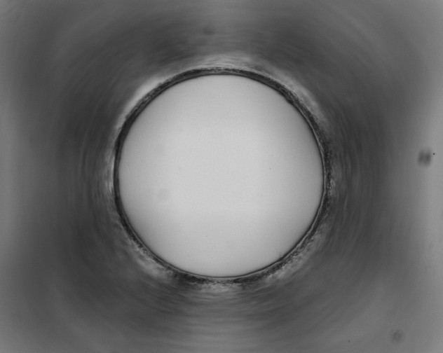 X0000101181224200807250932