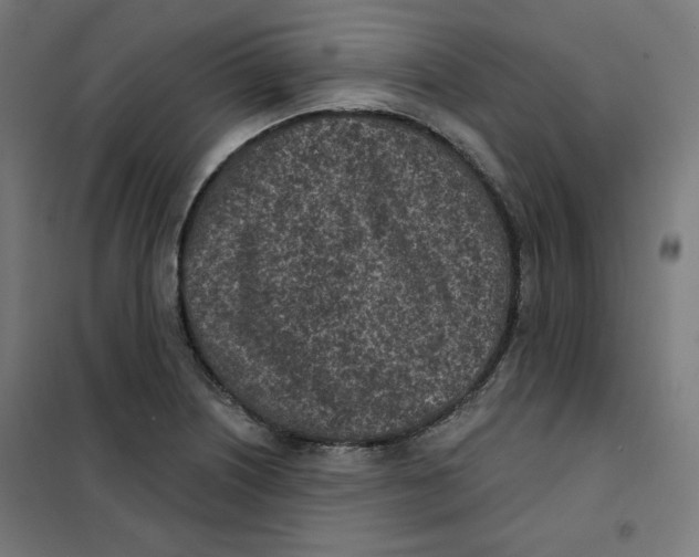 X0000101181226200807250932