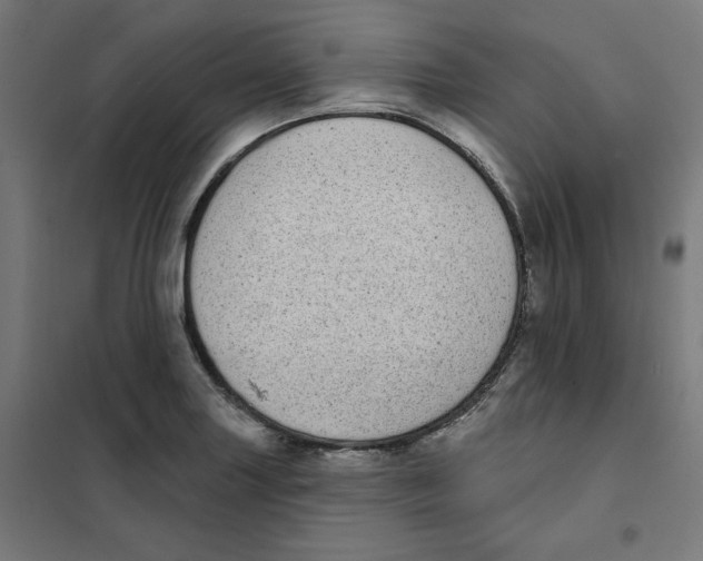 X0000101181227200807250932